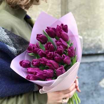 Фиолетовые Тюльпаны - code:2036