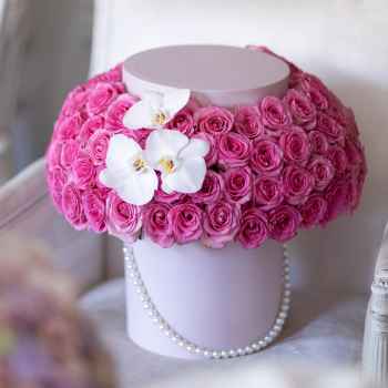 Roses and Orchids - code:5061