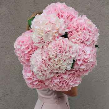 Hydrangeas Bouquets - code:2039