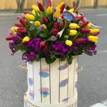 Tulips in the box - code:8035
