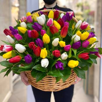 Тюльпаны в Корзине - code:8043
