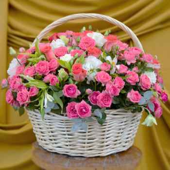 Flowers basket -  code:8003